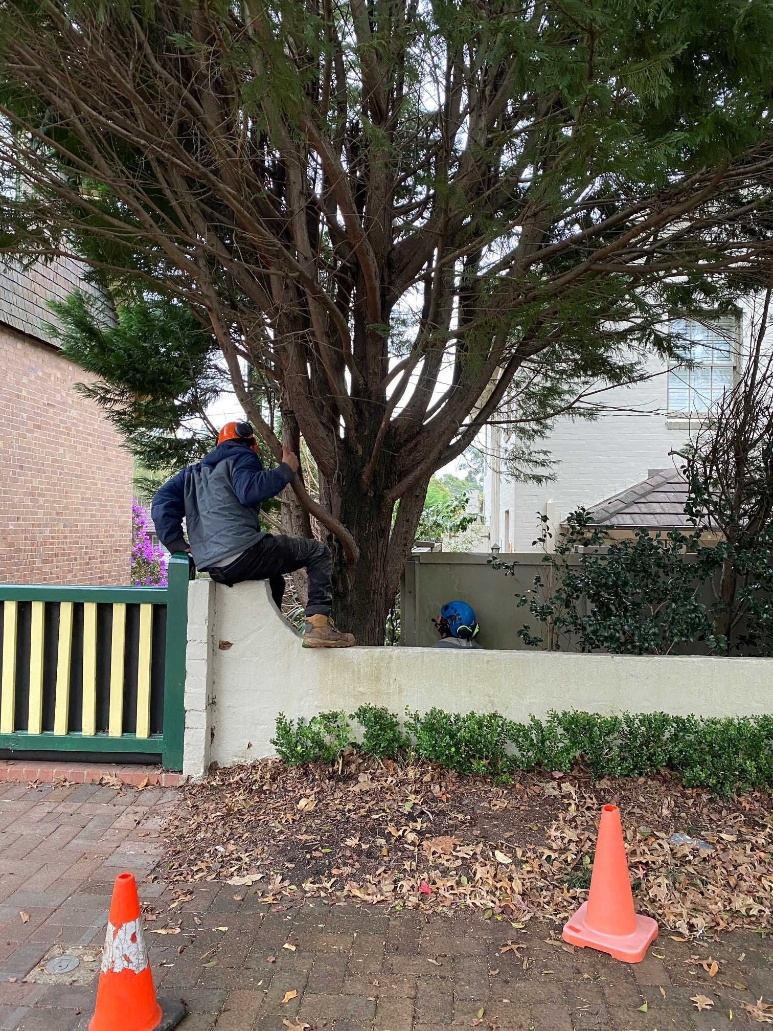 Heritage Related Services Image -5edf11132cb3b